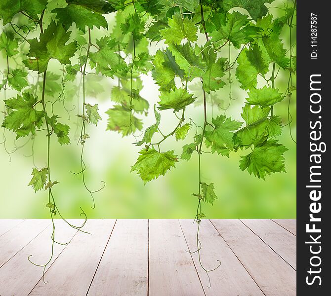 Green Background with Green Grape Leaves, Grapevine and White Empty Wooden Table