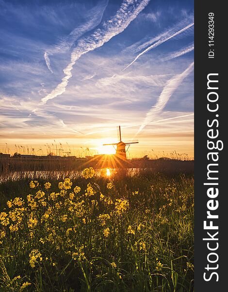 Sunset In Kinderdijk, Flowers And Sky, Traditional Dutch Rural Landscape, Netherlands