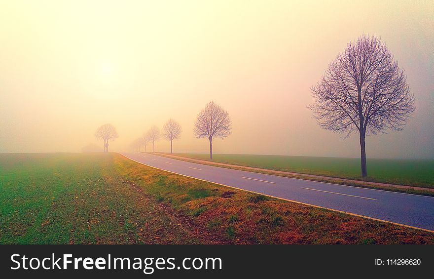 Road, Sky, Morning, Fog