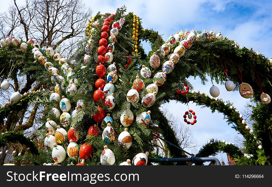 Tree, Christmas Decoration, Tradition, Plant