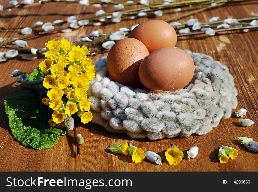 Egg, Bird Nest, Easter Egg, Still Life Photography