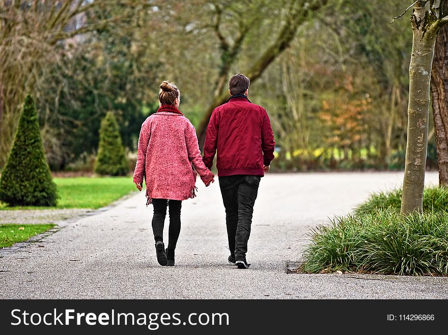 Photograph, Red, Walking, Tree