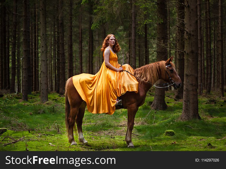 Horse, Tree, Horse Like Mammal, Ecosystem