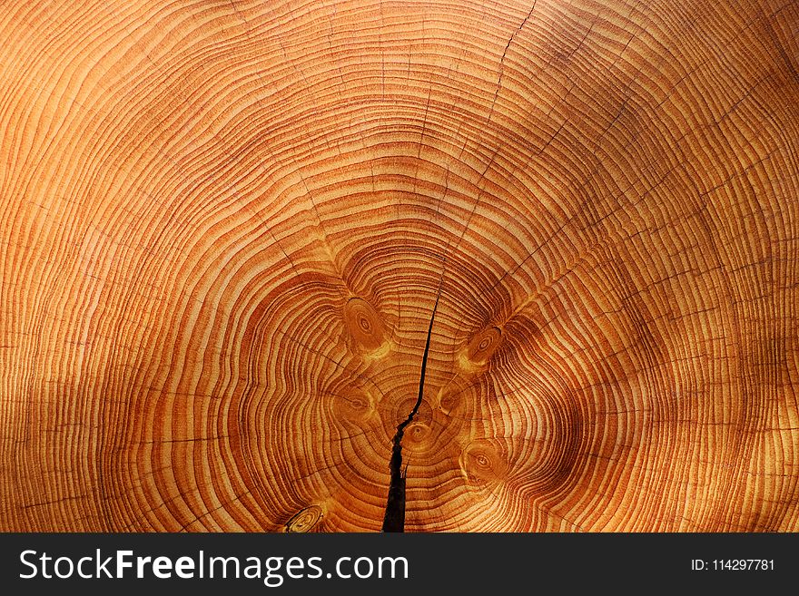 Wood, Close Up, Texture, Pattern