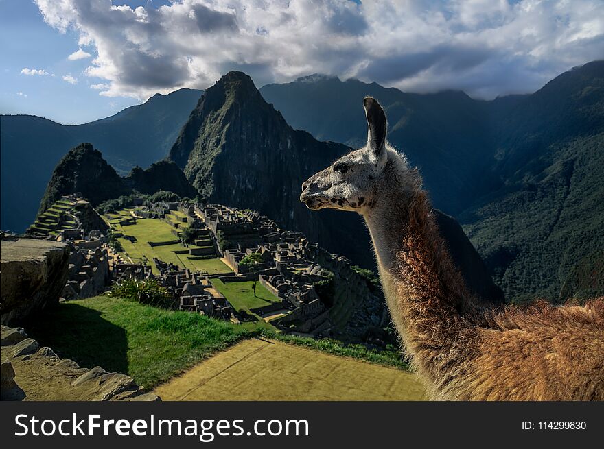 Machu Picchu Peru - Panoramic View on a mountain.