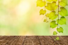 Wooden Table With Nature Blur Green Background Royalty Free Stock Photo Wooden Table With Nature Blur Green Background Royalty Free Stock Photo