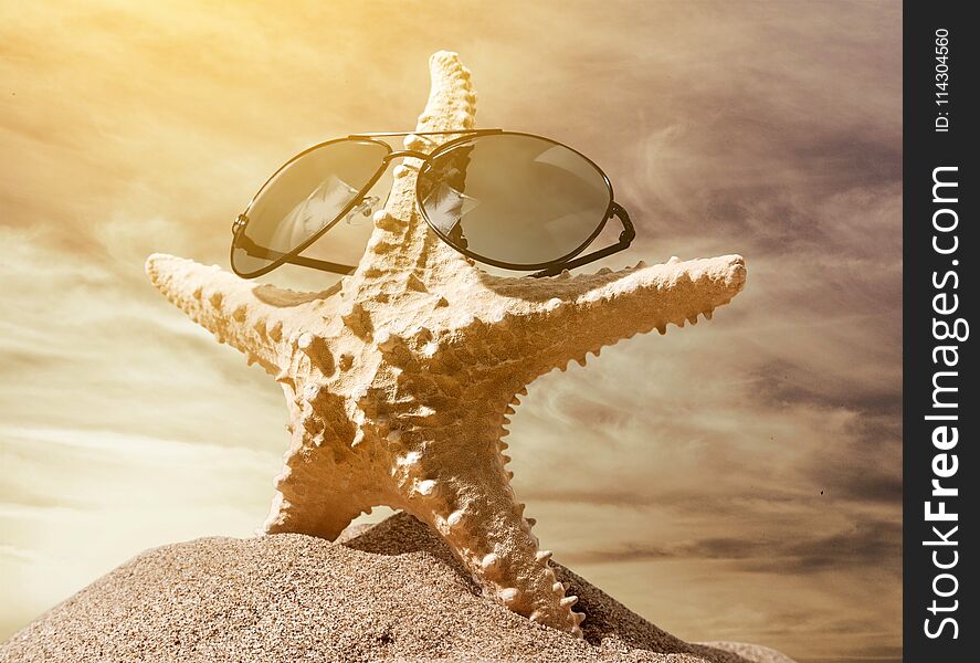 Sunglasses starfish beach shell summer single object sand