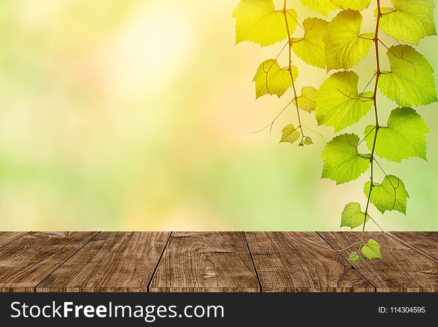 Wooden Table With Nature Blur Green Background