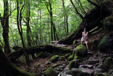 Young Female Hiker Walking Surrounded By Ancient Cedar Trees In Shiratani Unsuikyo Ravinepark. Royalty Free Stock Photo