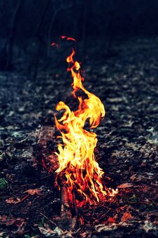 Fire, Bonfire, Nature, Campfire, Camp, Energy, Night, Light, For Stock Images