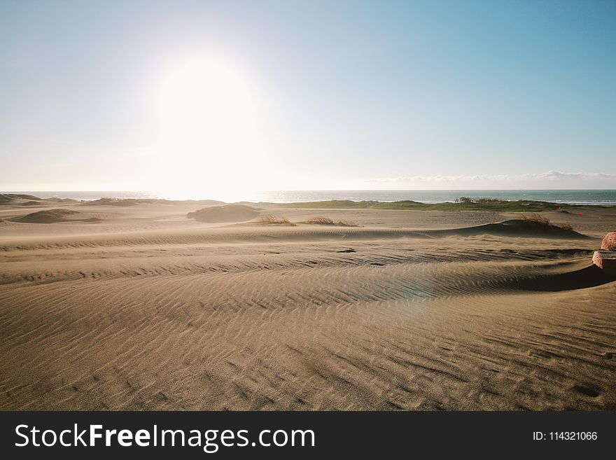 Gray Sand Field