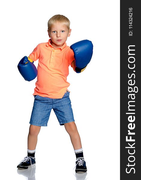 Sports boy in boxing gloves. The concept of a harmonious development of the child, a healthy lifestyle. Isolated on white background. Sports boy in boxing gloves. The concept of a harmonious development of the child, a healthy lifestyle. Isolated on white background.