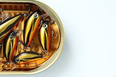 Fish Lures In Open Tin Can Look Like Sprats. Top View. Royalty Free Stock Photography Fish Lures In Open Tin Can Look Like Sprats. Top View. Royalty Free Stock Photography