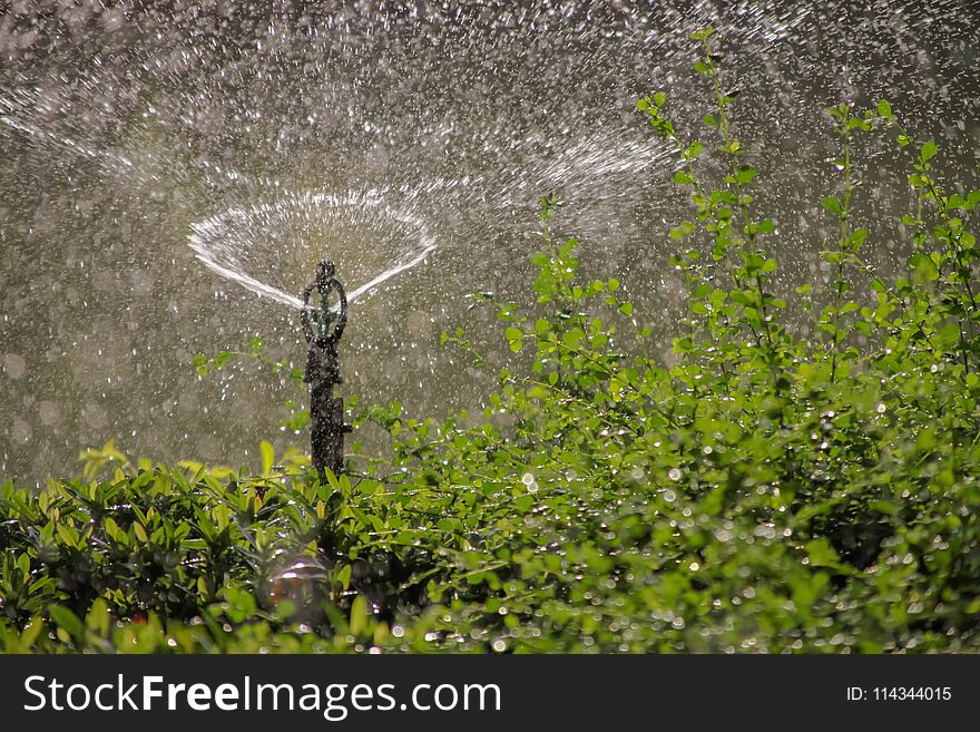 Water Sprinkler Watering Grass In Park.