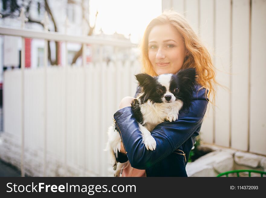 A young red-haired Caucasian woman holds a small funny dog in the arms of two colors of black and white chihuahua. Hugs and kisses