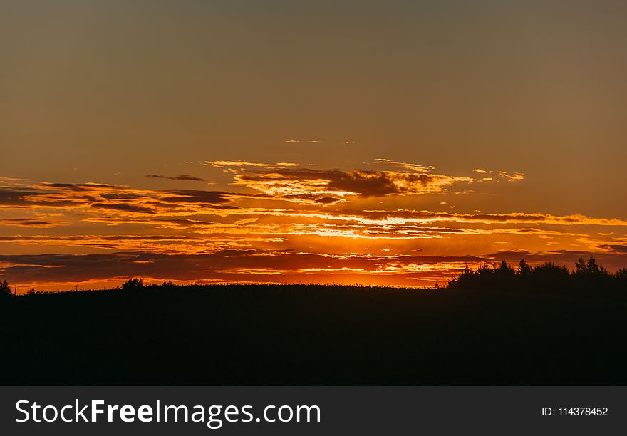 Silhoutte Of Trees During Golden Hour