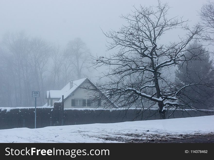 Photo Of House Near Tree During Winter