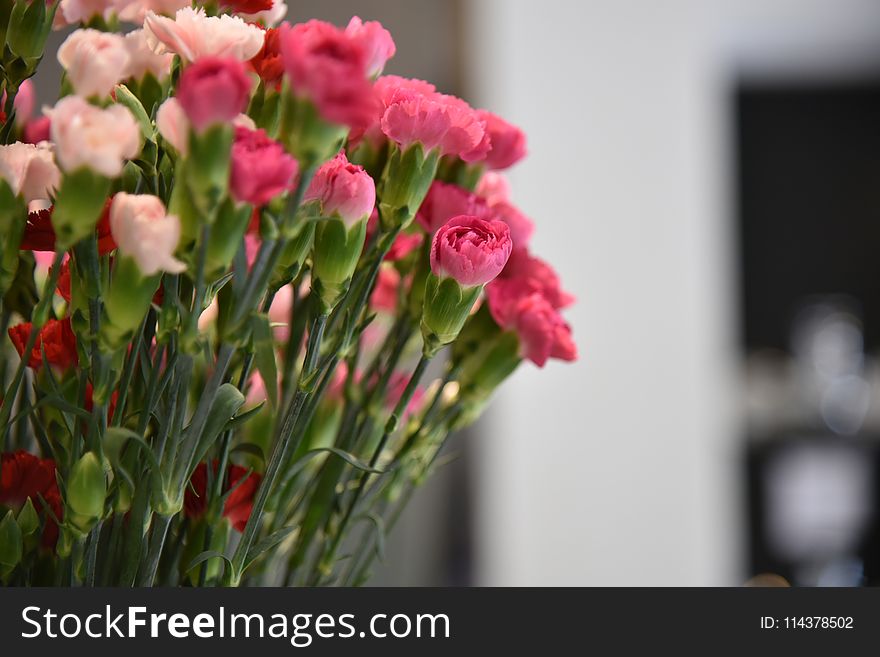 Pink Rose Bouquet