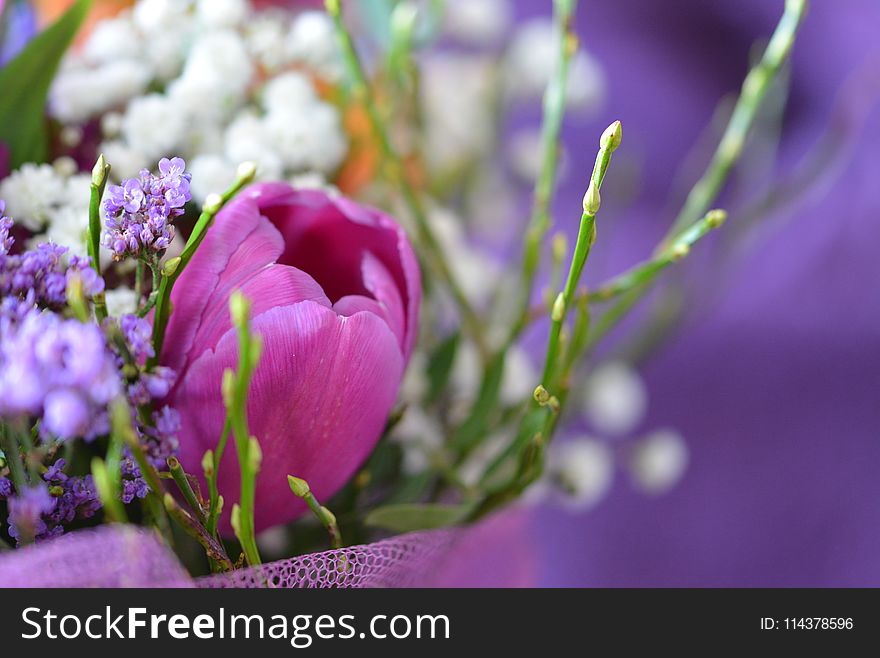 White and Purple Floral Decor