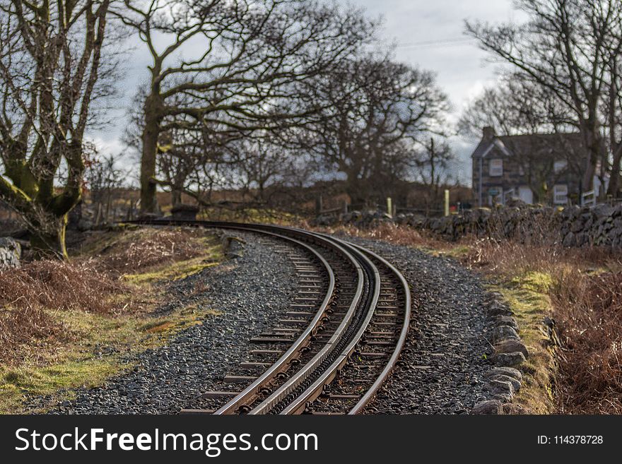 Railway Surrounded By Withered Trees