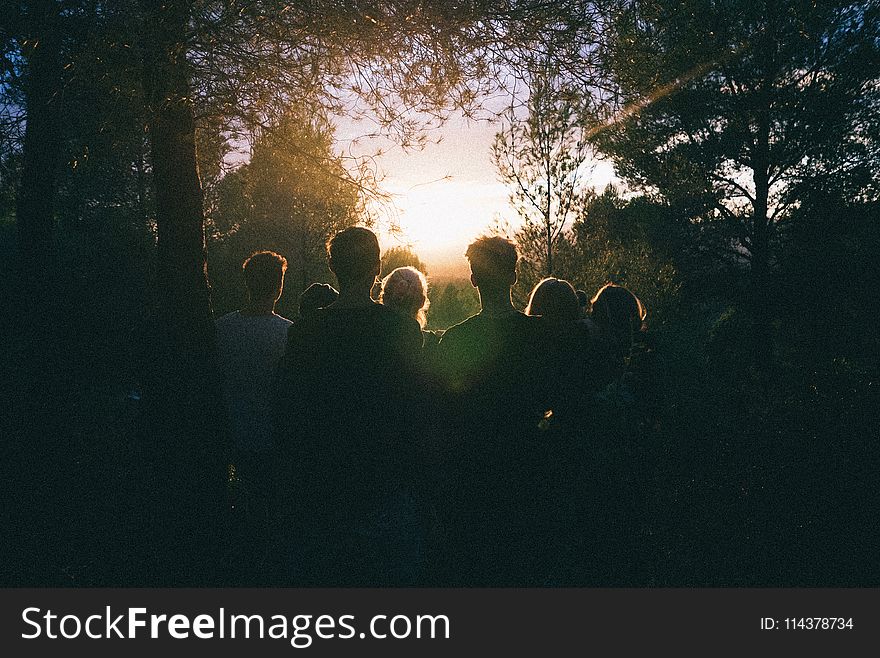 Silhouette of Group of People Between Tree Line