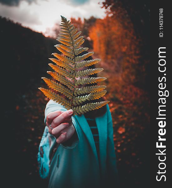 Photography Of A Woman Holding Fern