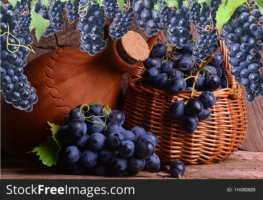 Excellent Georgian wine this year`s harvest