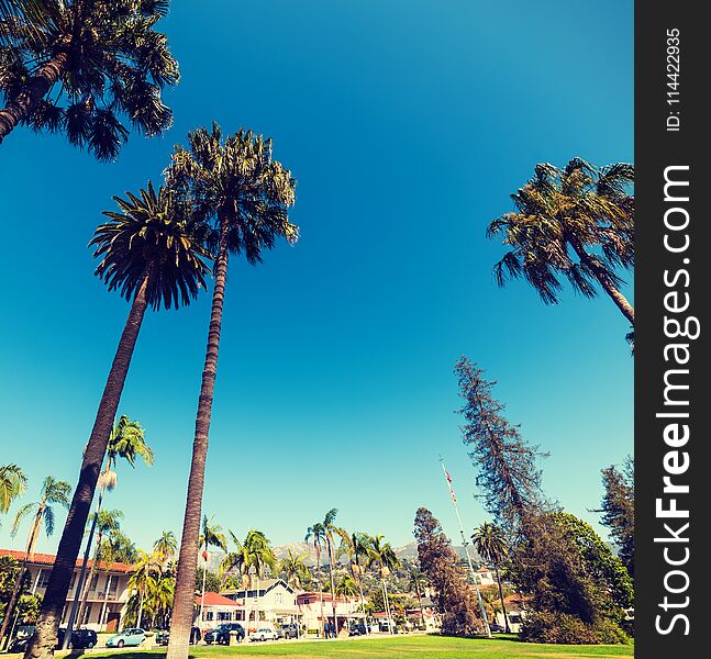 Palm trees under a blue sky in Santa Barbara, California