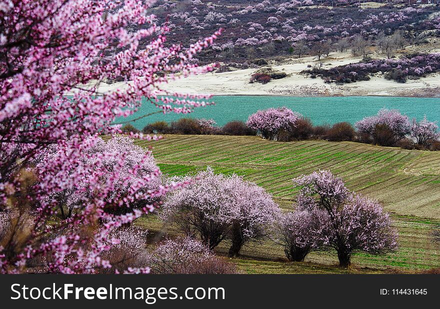 Green river in spring