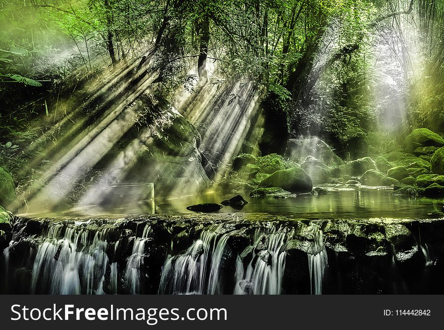 Waterfalls Surrounded by Trees