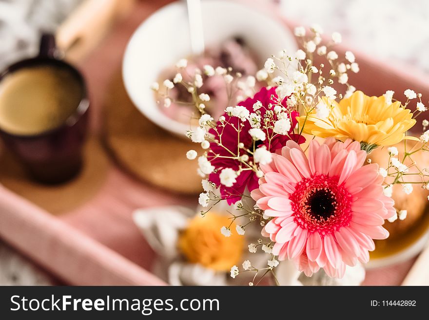 Shallow Focus Photography of Coffee and Dish With Pink Gerbera Daisy