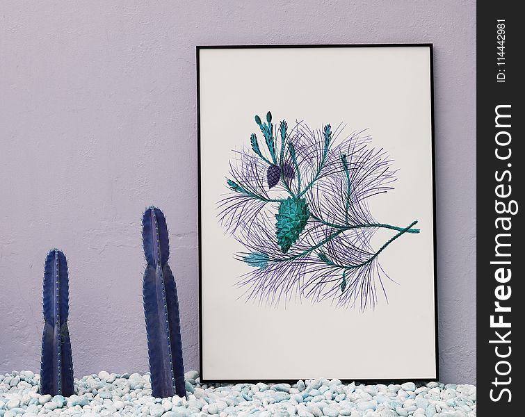 Cacti And Frame