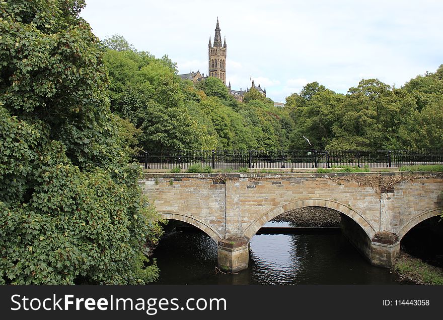 Brown Brick Bridge Surrounded By Trees