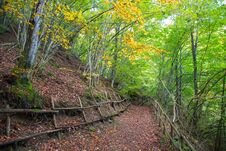 Country Path Running Through The Woods On An Autumn Day, Italy Stock Photo Country Path Running Through The Woods On An Autumn Day, Italy Stock Photo