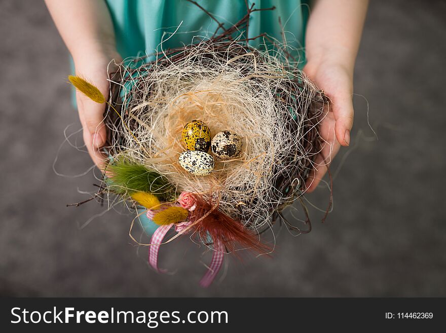 Children make a nest for birds, nest for birds