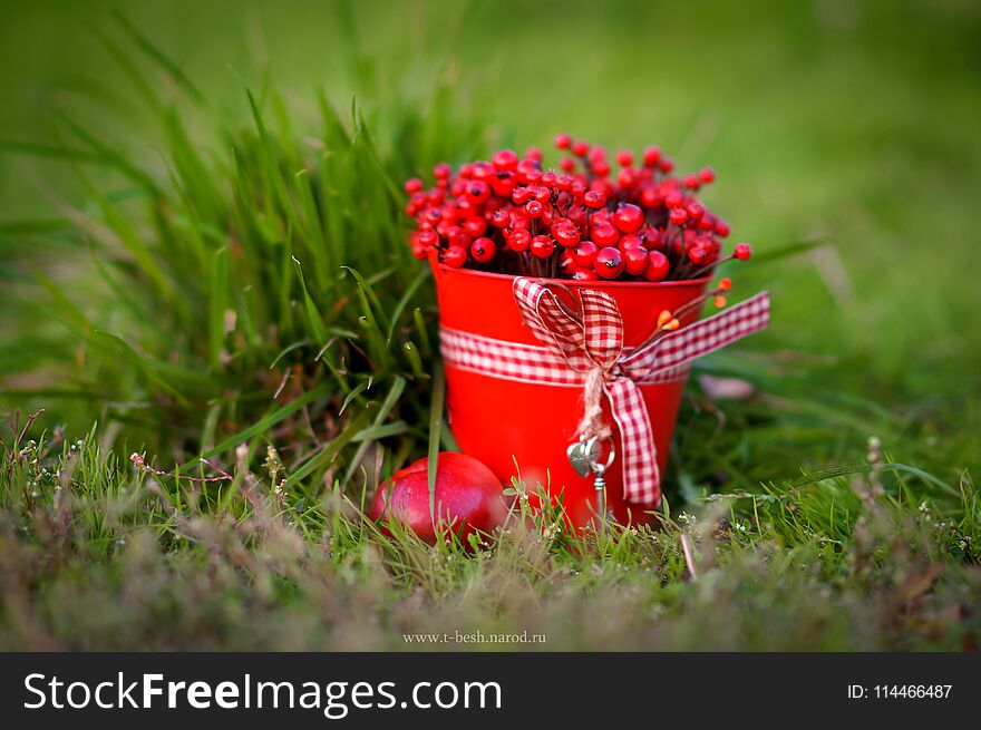 Berry season. red bucket with berries. Organic Bio Berries