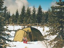 Camping During Winter Hiking In Mountains. Green Touristic Tent Under Spruces Stock Photos