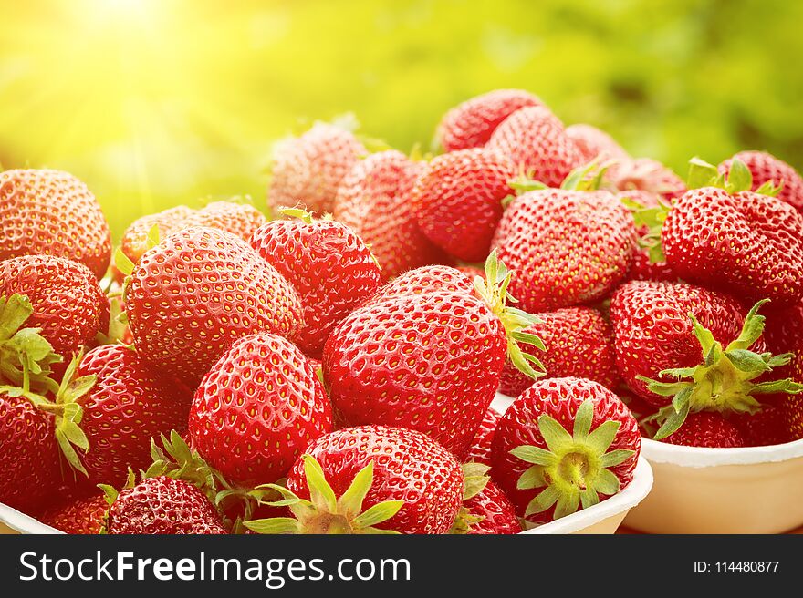 Fresh strawberry, ripe red fruits in nature, healthy food background illuminated by sunlight