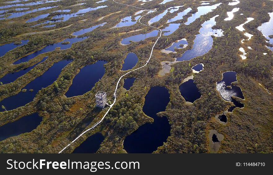 Aerial view on National park Kemeri.