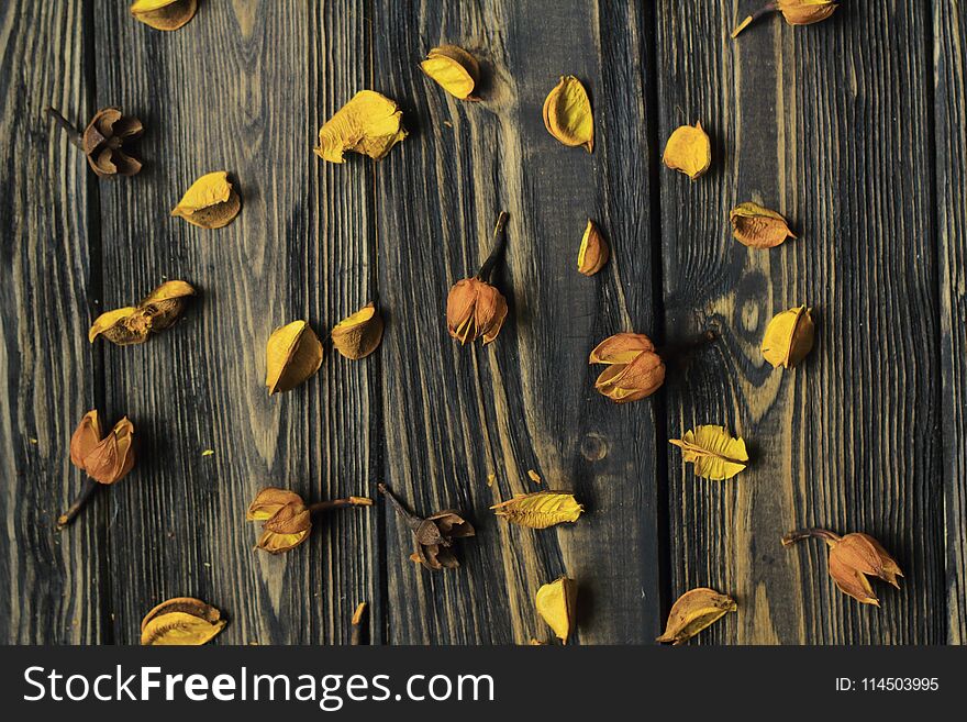 Petals of dried flowers on wooden background.