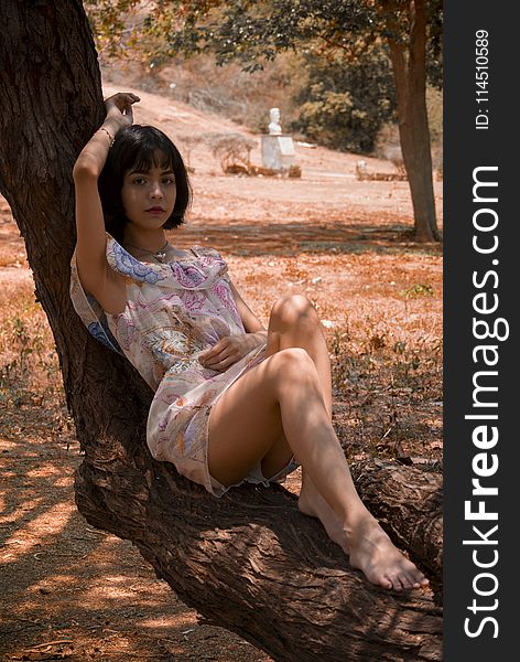 Photography of a Woman Laying on Tree Trunk