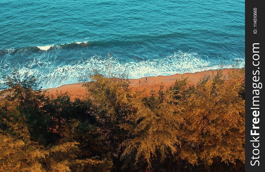 Bird&x27;s Eye View Of Beach