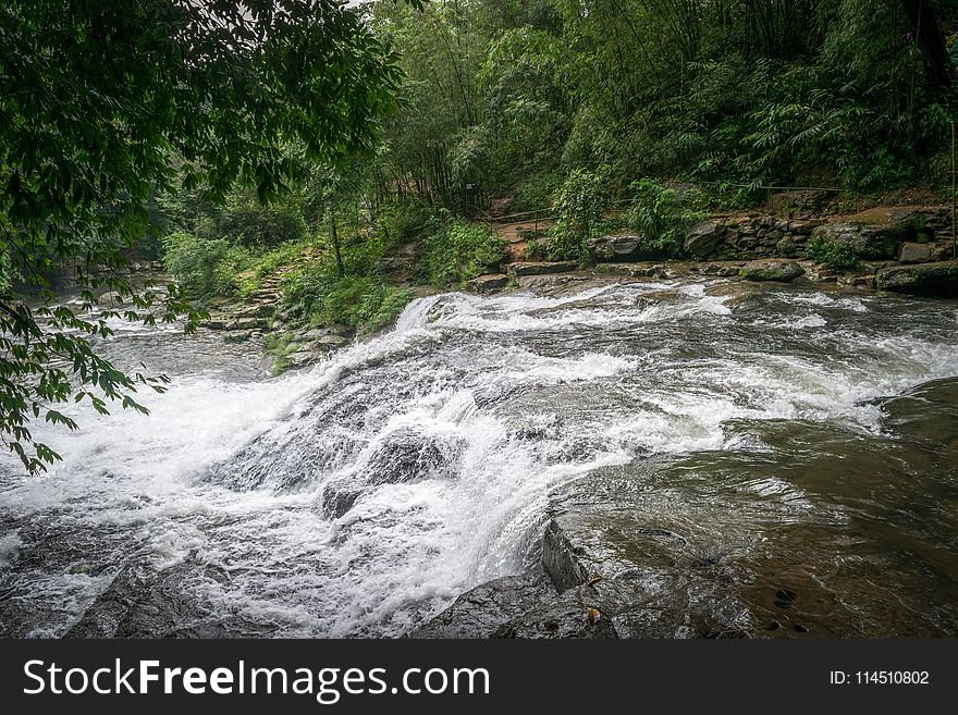 Landscape Photography Of River In Forest