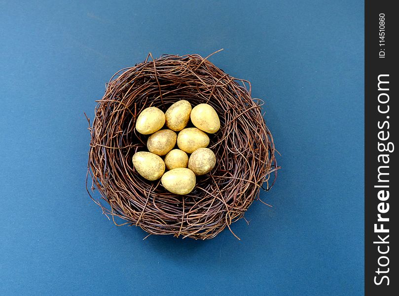 White Eggs in Brown Nest