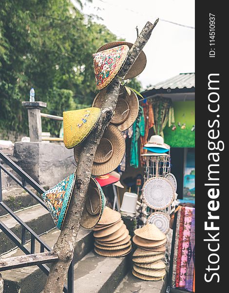 Photo of Hats Hanging on Tree