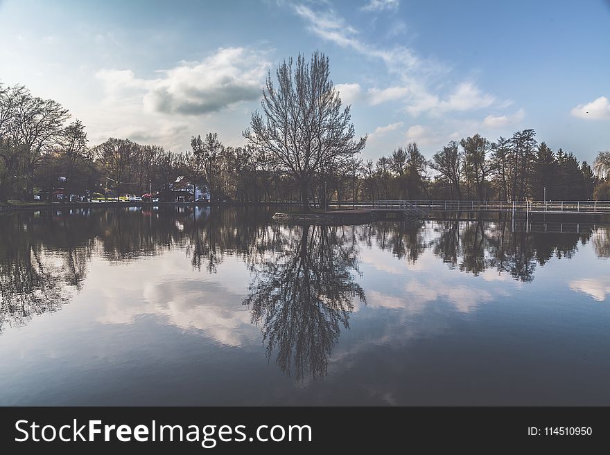 Reflection of Trees on Body of Water