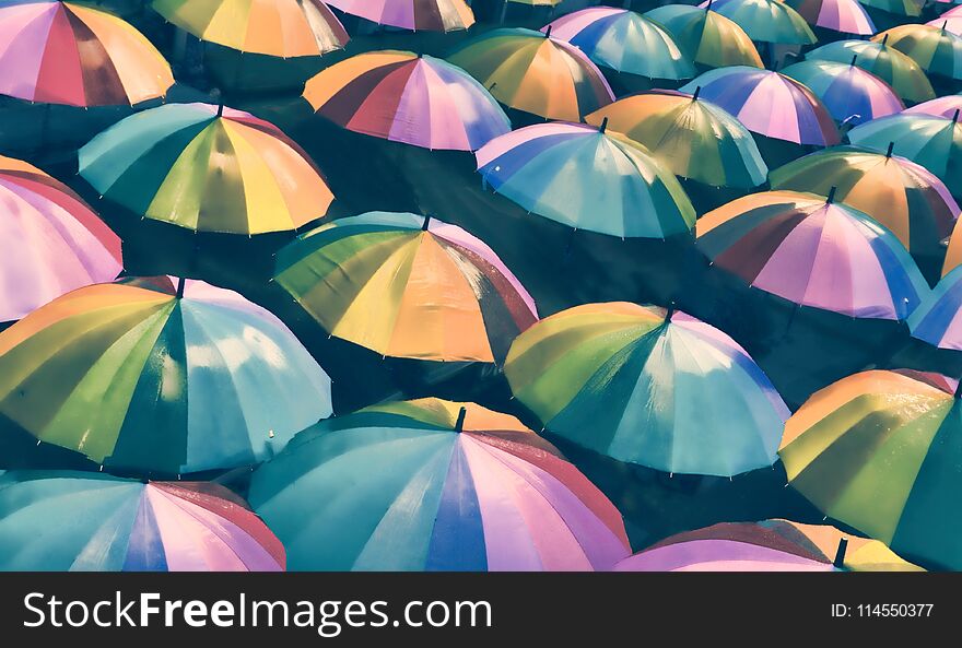 Colorful Umbrellas Urban Street Decoration. View Of Umbrellas Fr