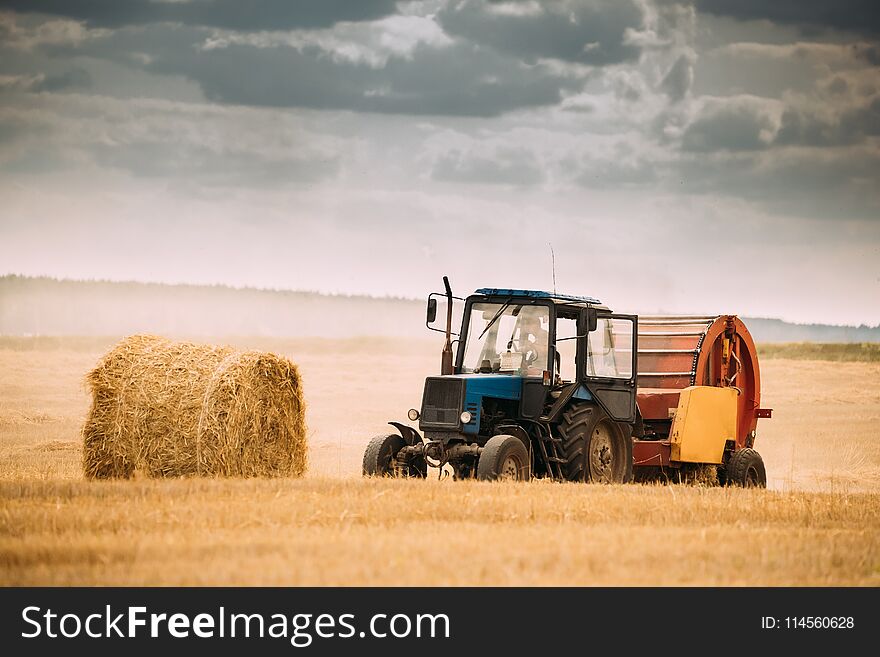 Tractor Collects Dry Grass In Straw Bales In Summer Wheat Field. Special Agricultural Equipment. Hay Bales, Hay Making