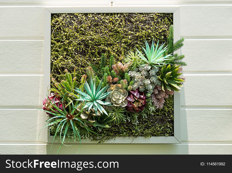 Decorated Wall Vertical Garden, Background.