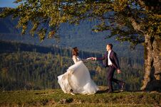 Bride And Groom In Carpathians, Mountains, Royalty Free Stock Photos